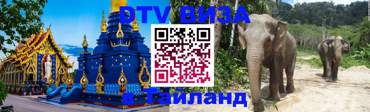 Сколько стоит DTV виза — актуальные цены, оформление даже без документов - Ангарск 